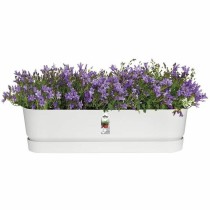 Blumenkasten Elho Weiß 70 cm Kunststoff