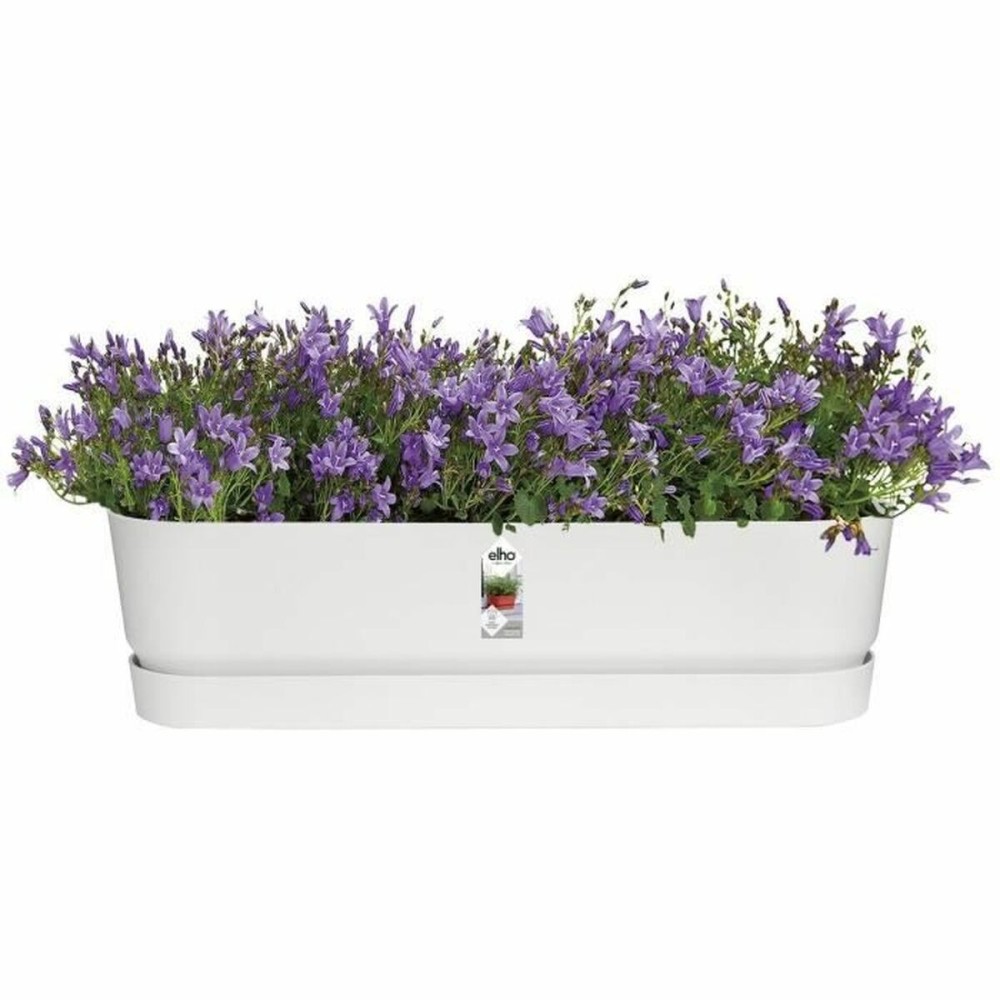 Blumenkasten Elho Weiß 70 cm Kunststoff