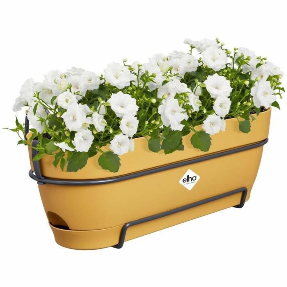 Blumenkasten Elho 50 cm Kunststoff