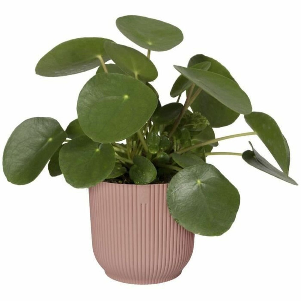 Plant pot Elho Circular Pink Plastic