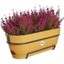 Blumenkasten Elho 50 cm Kunststoff