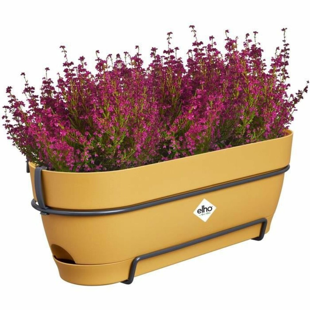 Blumenkasten Elho 50 cm Kunststoff