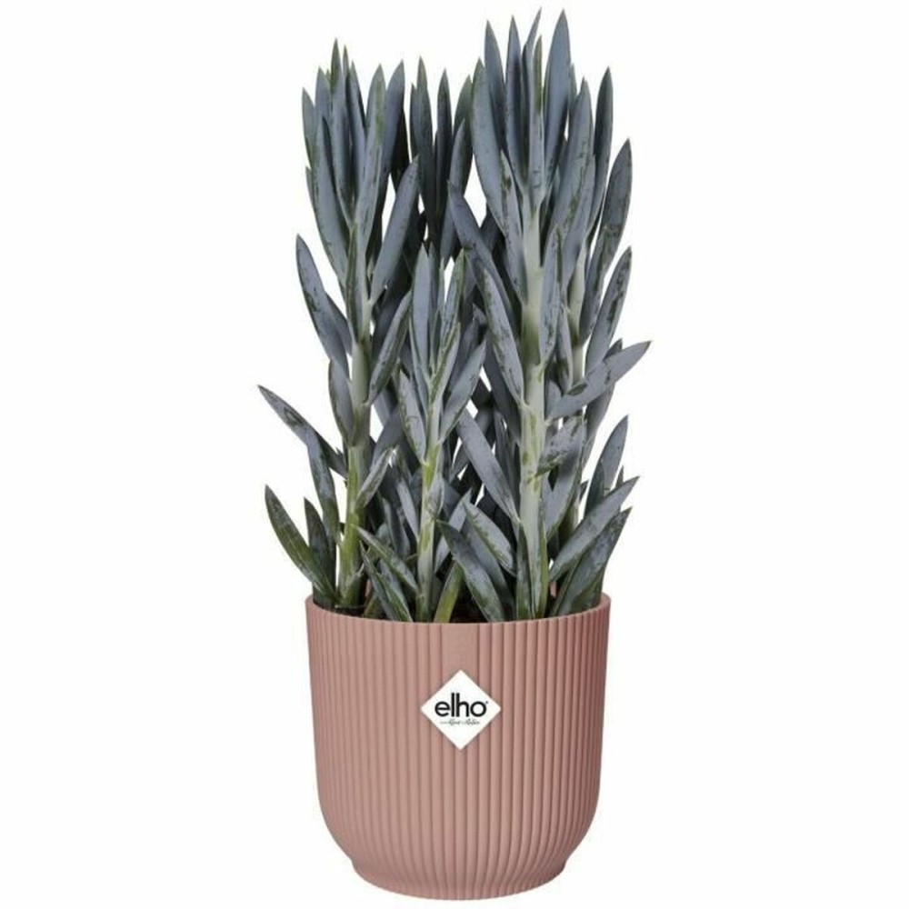 Plant pot Elho Circular Pink Plastic