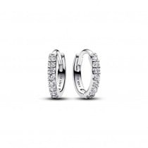 Ladies' Earrings Pandora 293015C01