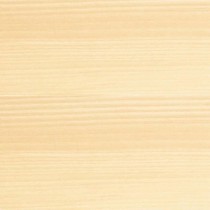 Peinture d'Apprêt Bondex Satiné 5 L Transparent