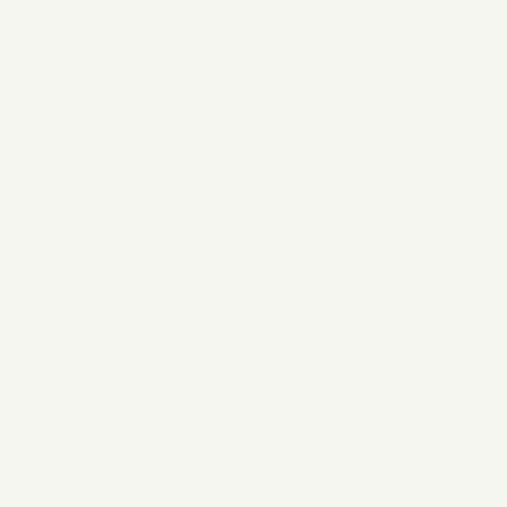 Primer Paint Ripolin White Matt 10 L