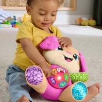 Musical Toy Fisher Price JFD31