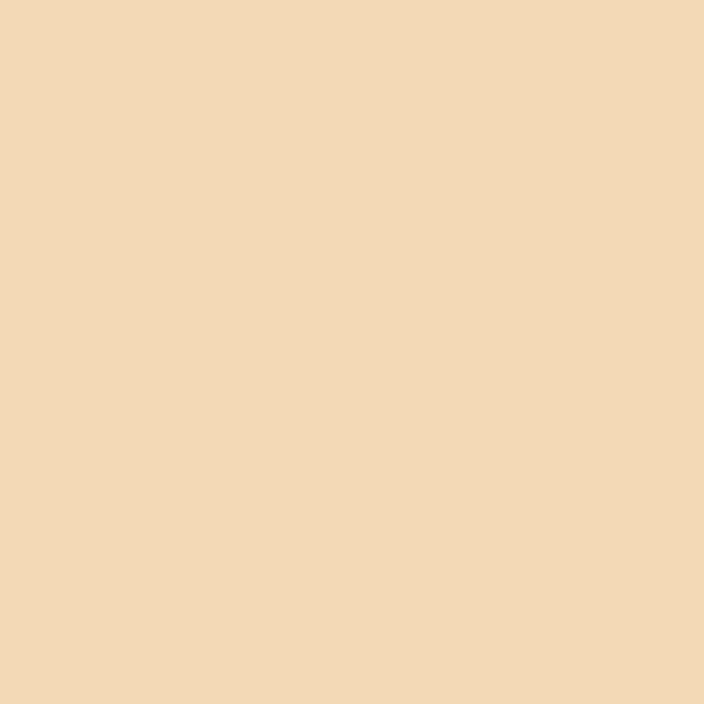 Primer Paint Ripolin Beige Matt 10 L