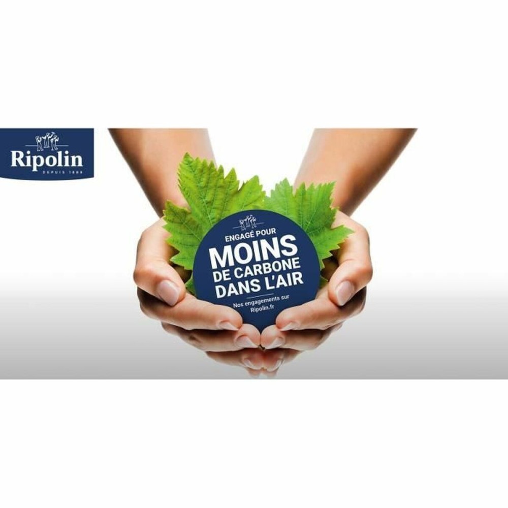 Primer Paint Ripolin Beige Matt 10 L