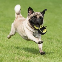 Hundespielzeug Batman