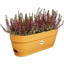 Planter Elho 50 cm Plastic