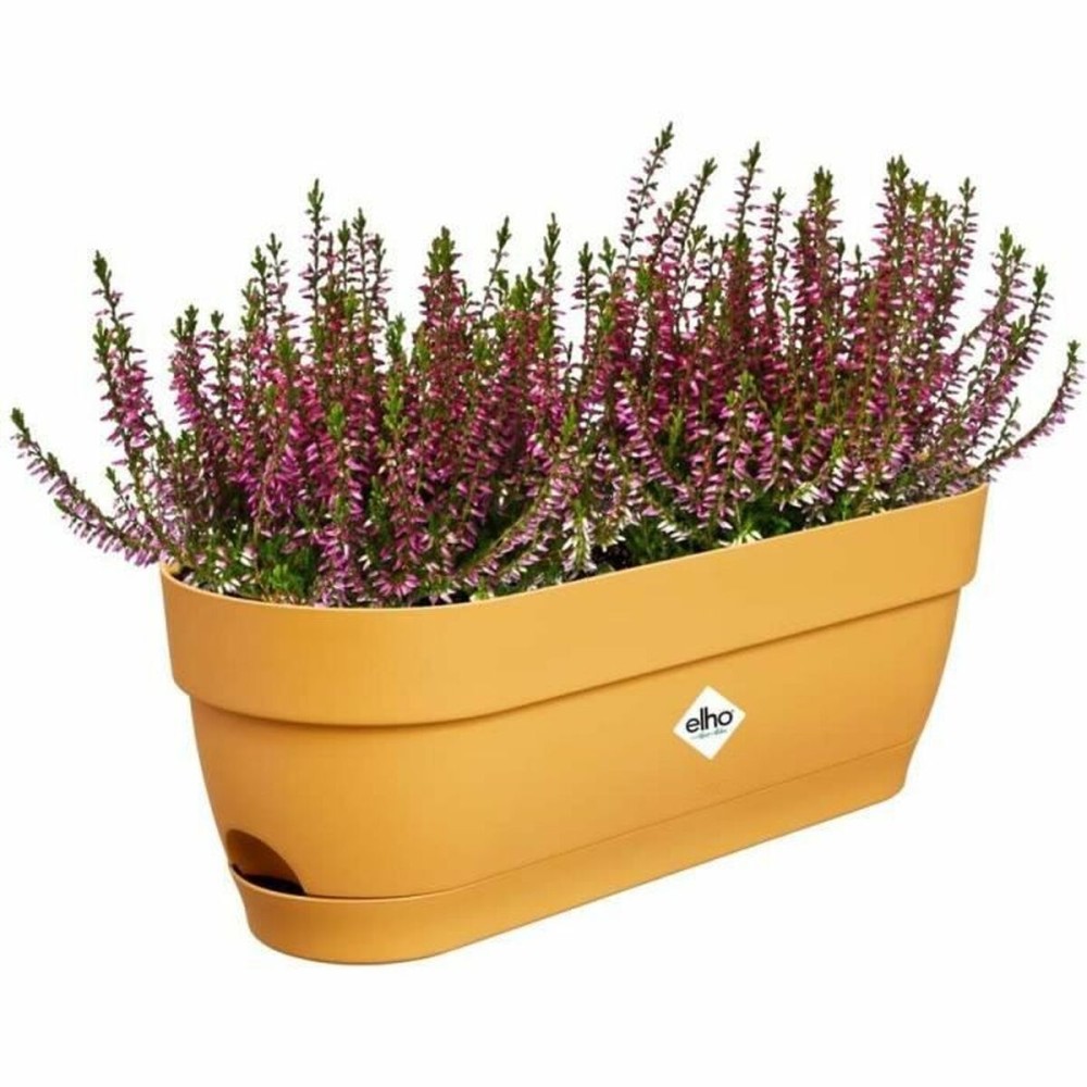 Planter Elho 50 cm Plastic