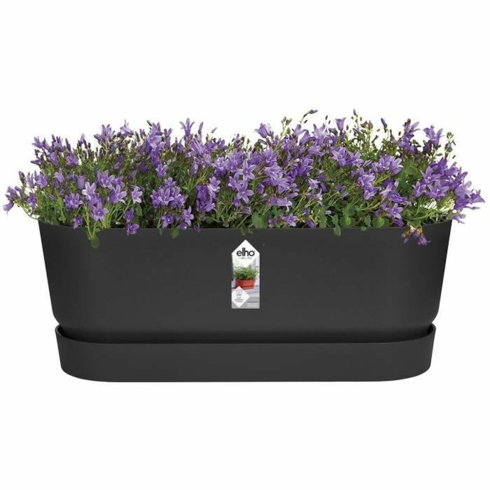 Planter Elho Black 50 cm Plastic Oval
