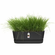 Planter Elho Black 50 cm Plastic Oval
