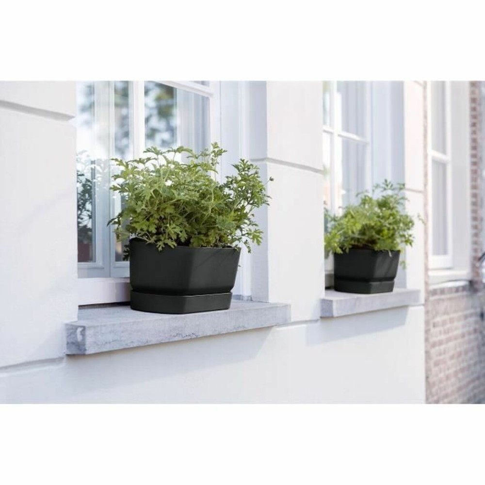 Planter Elho Black 50 cm Plastic Oval