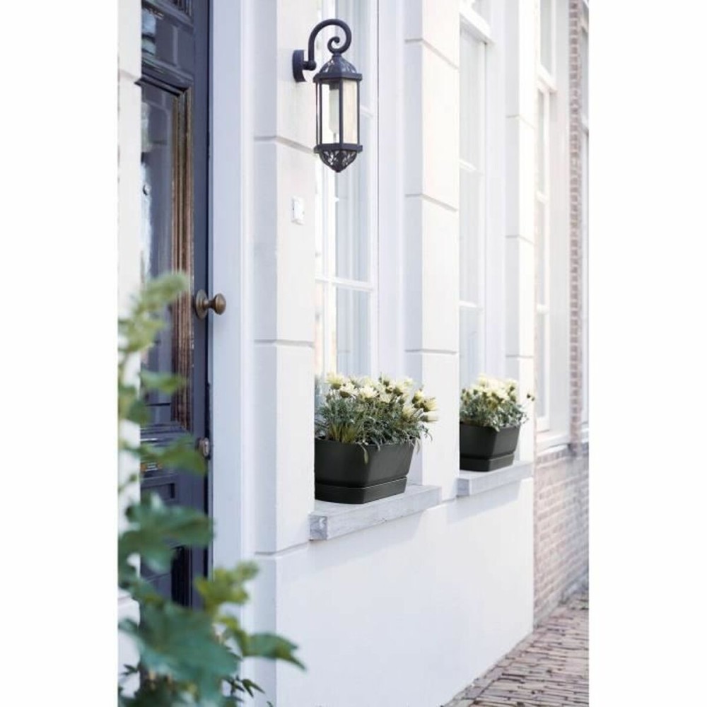 Planter Elho Black 50 cm Plastic Oval