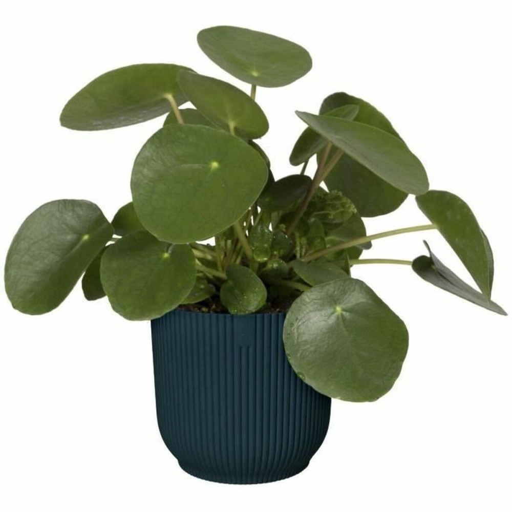 Plant pot Elho Ø 25 cm Circular Dark blue Plastic