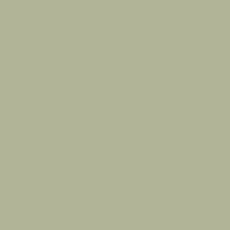 Primer Paint Ripolin Vert Satin finish 2 L
