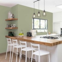 Primer Paint Ripolin Vert Satin finish 2 L