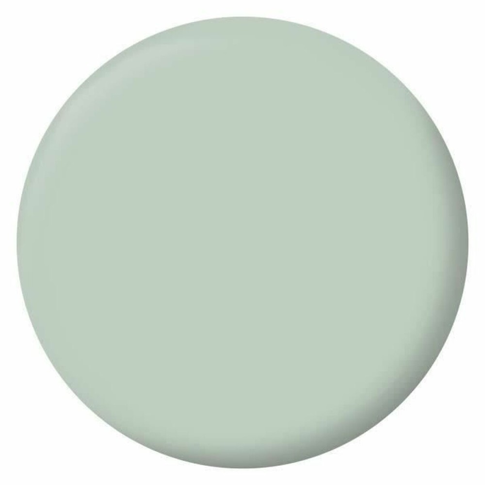 Primer Paint Ripolin Vert 2,5 L Matt