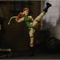 Jointed Figure Street Fighter