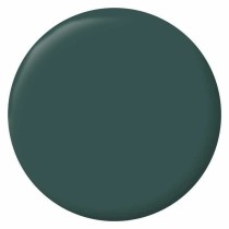 Primer Paint Ripolin Vert 2,5 L Matt