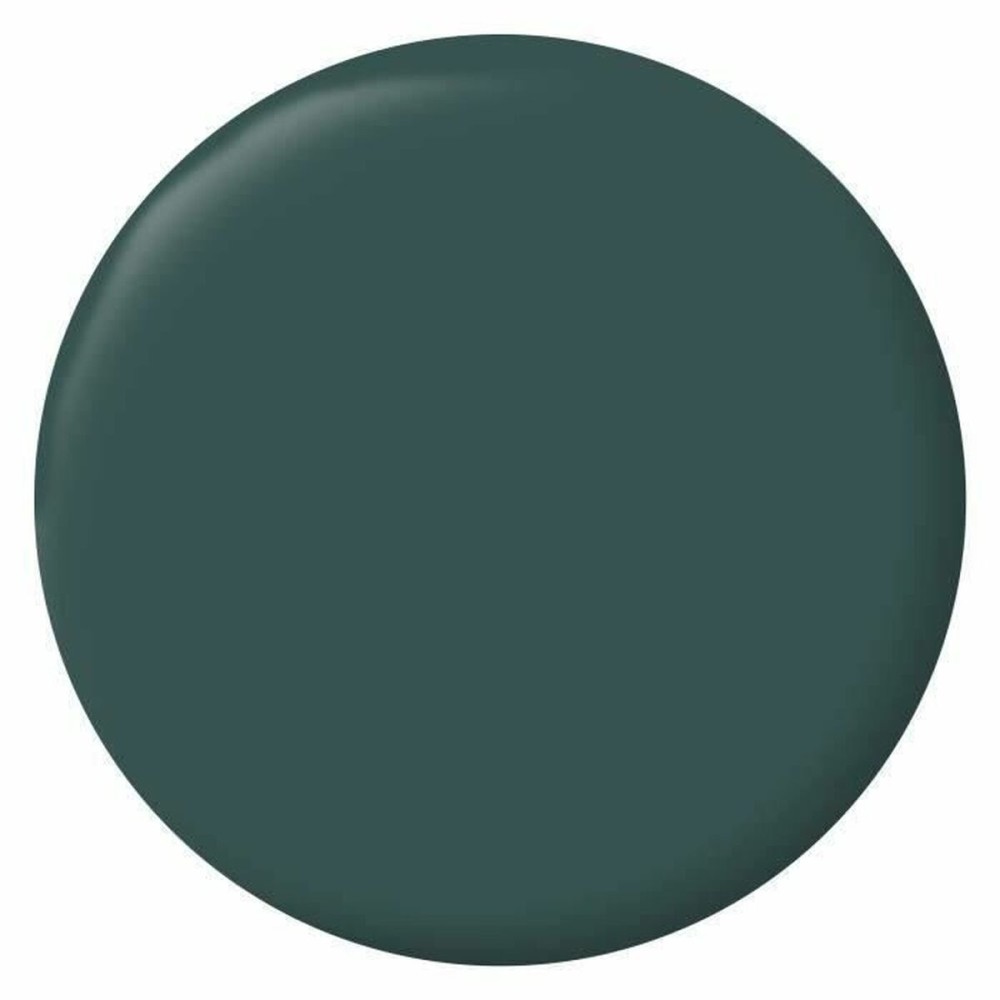 Primer Paint Ripolin Vert 2,5 L Matt