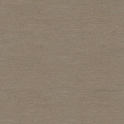 Nappe antitache Belum Rodas 91 Marron 250 x 150 cm