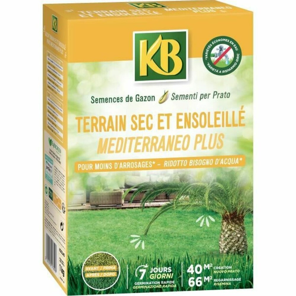 Graines KB Pelouse méditerranéen 1 kg 40 m²