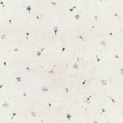 Taie d'oreiller Decolores Orewa Multicouleur 175 Fils 45 x 125 cm Coton