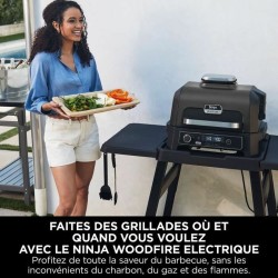 Grill Tragbarer NINJA OG850EU