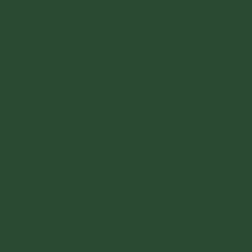 Primer Paint Ripolin Vert Satin finish 500 ml