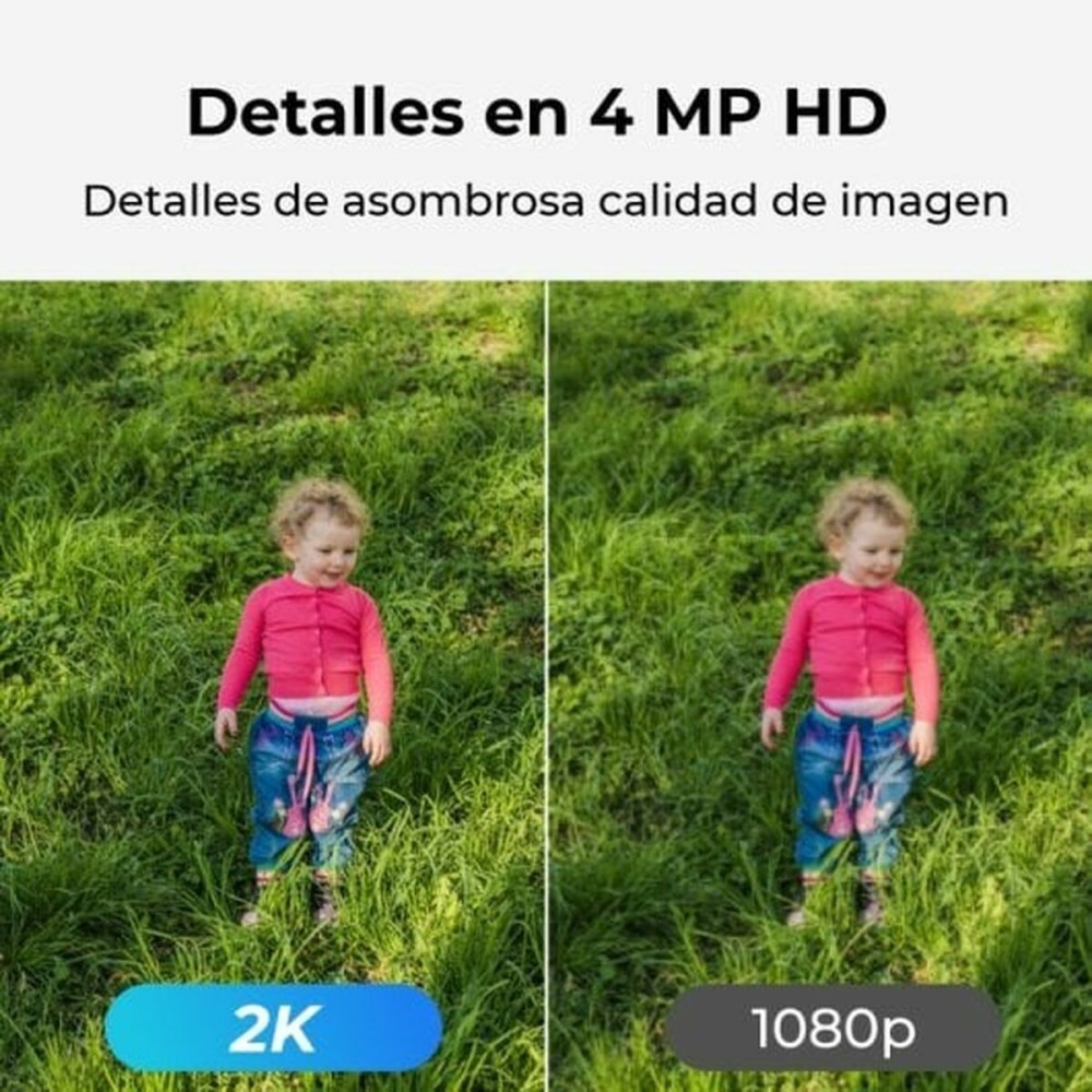Surveillance Camcorder Reolink