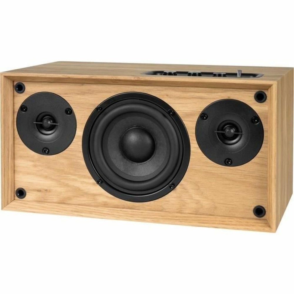 Haut-parleur portable Thomson WS502 Noir Beige 100 W