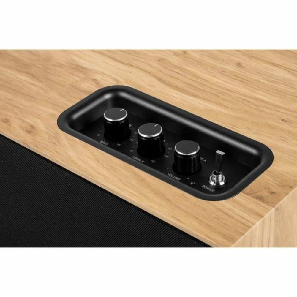 Haut-parleur portable Thomson WS502 Noir Beige 100 W