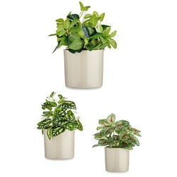 Set de pots Cylindre Ø 14 cm Ø 22 cm Ø 17 cm Casual 3 Pièces (3 Pièces)