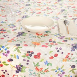 Nappe antitache Belum 0120-347 Multicouleur 300 x 150 cm