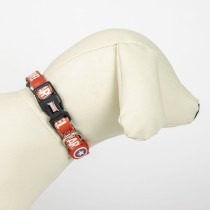 Willkommensgeschenkset für Hunde The Avengers 5 Stücke