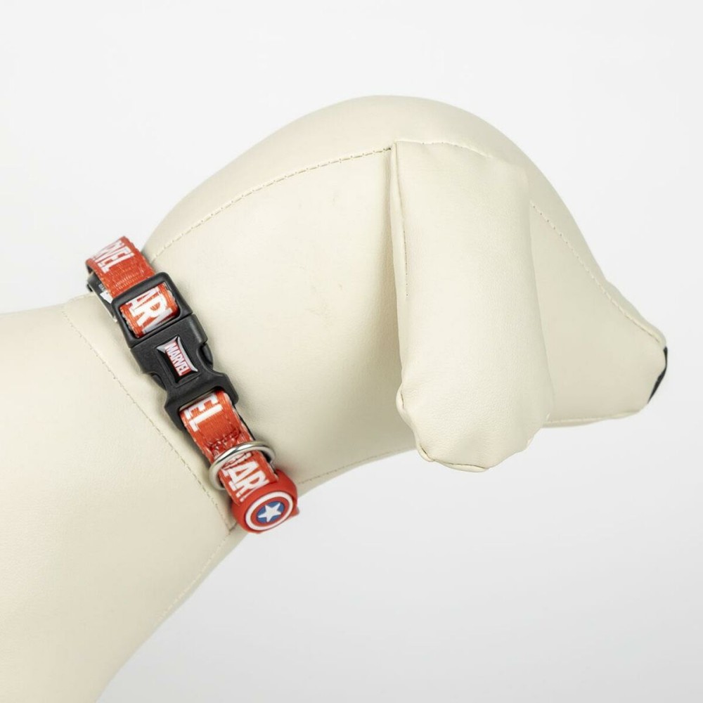 Willkommensgeschenkset für Hunde The Avengers 5 Stücke