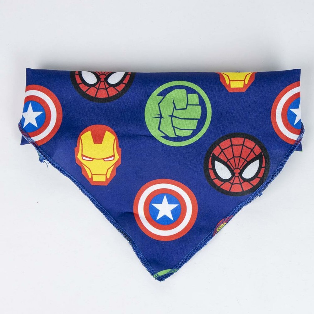 Willkommensgeschenkset für Hunde The Avengers 5 Stücke