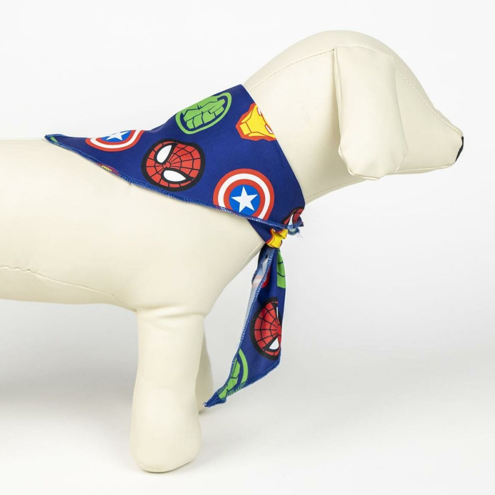 Coffret de bienvenue pour chiens The Avengers 5 Pièces