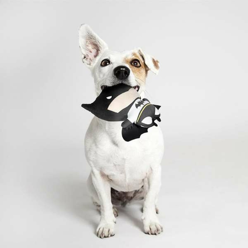 Hundespielzeug Batman