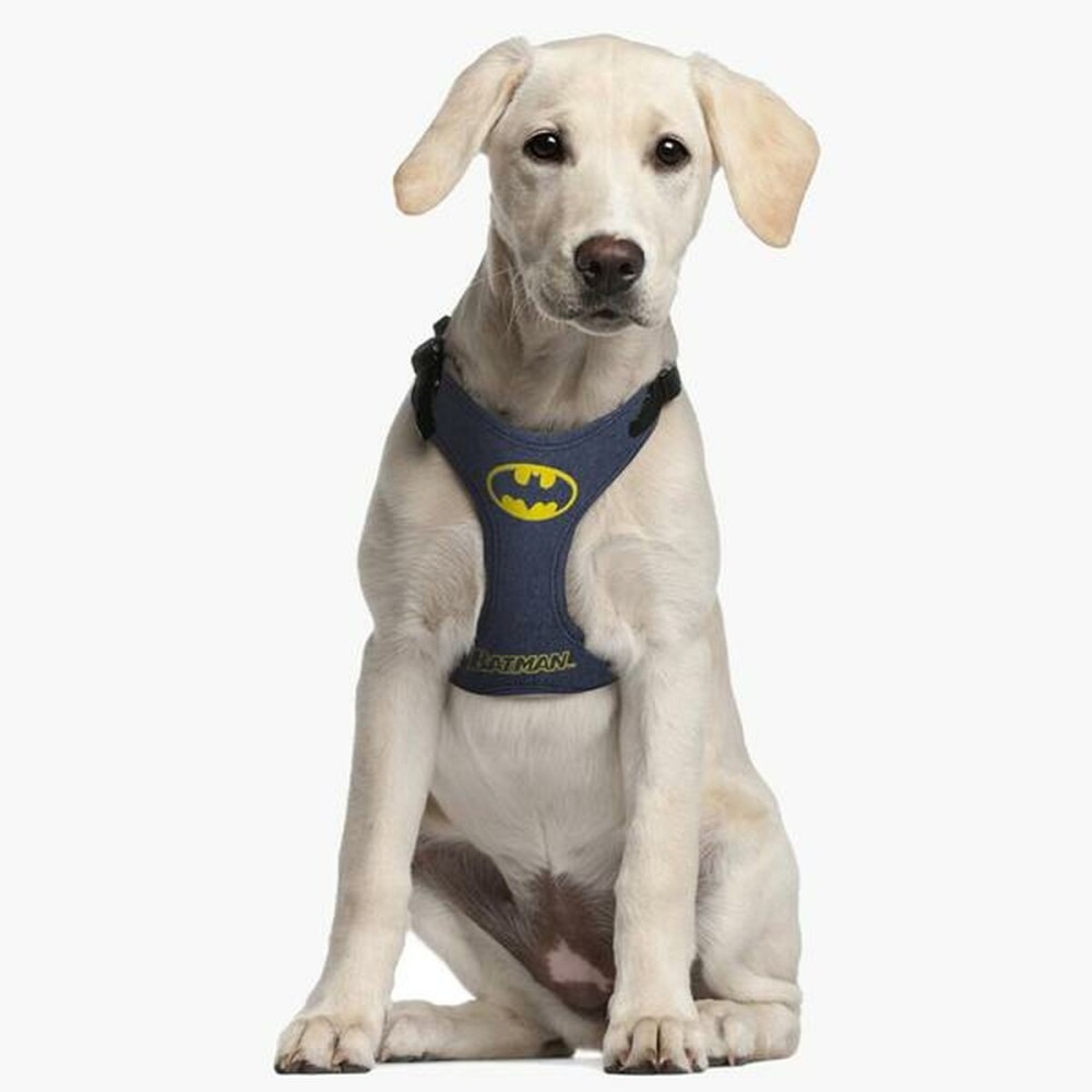 Hundegeschirr Batman Blau