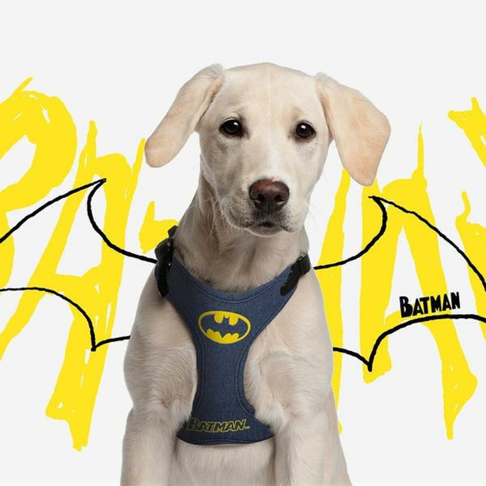 Hundegeschirr Batman Blau