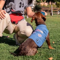 Dog coat Minnie Mouse