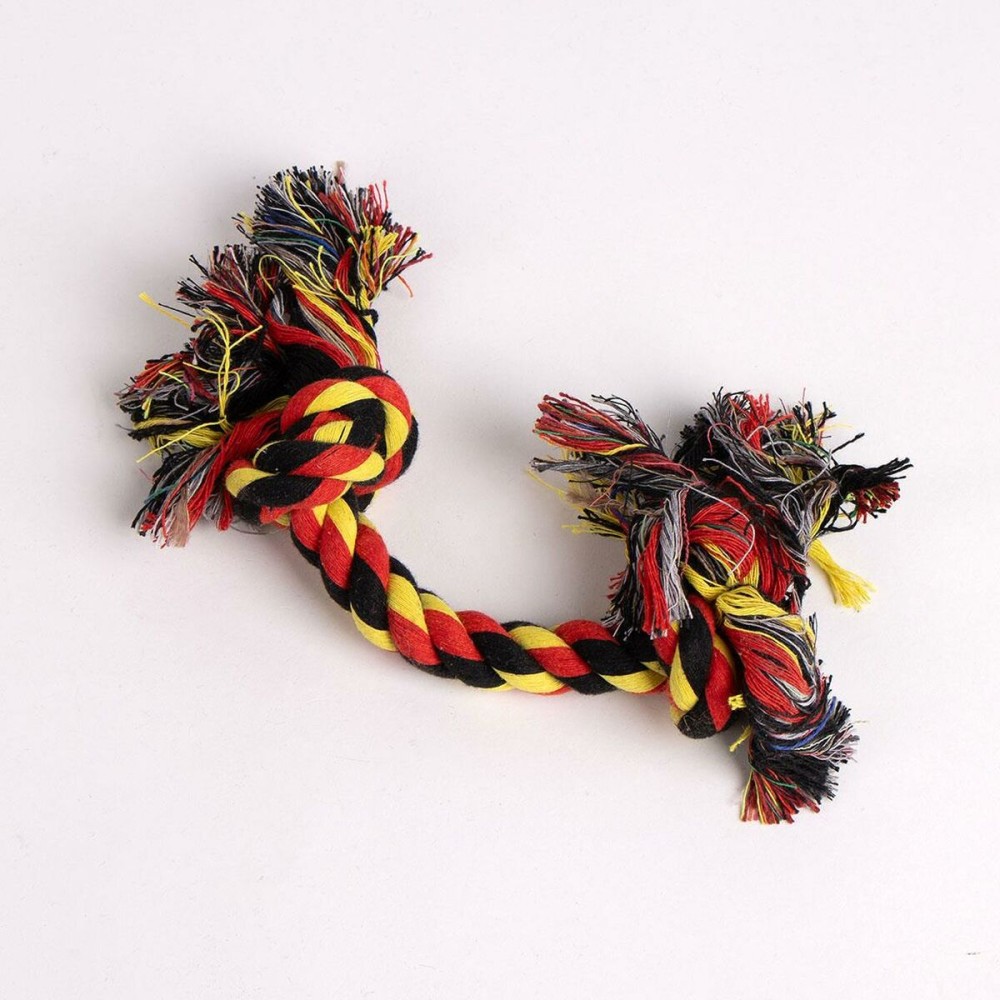 Geschenkset Harry Potter Dunkelrot 21,0 x 21,0 x 8,8 cm Hund 4 Stücke