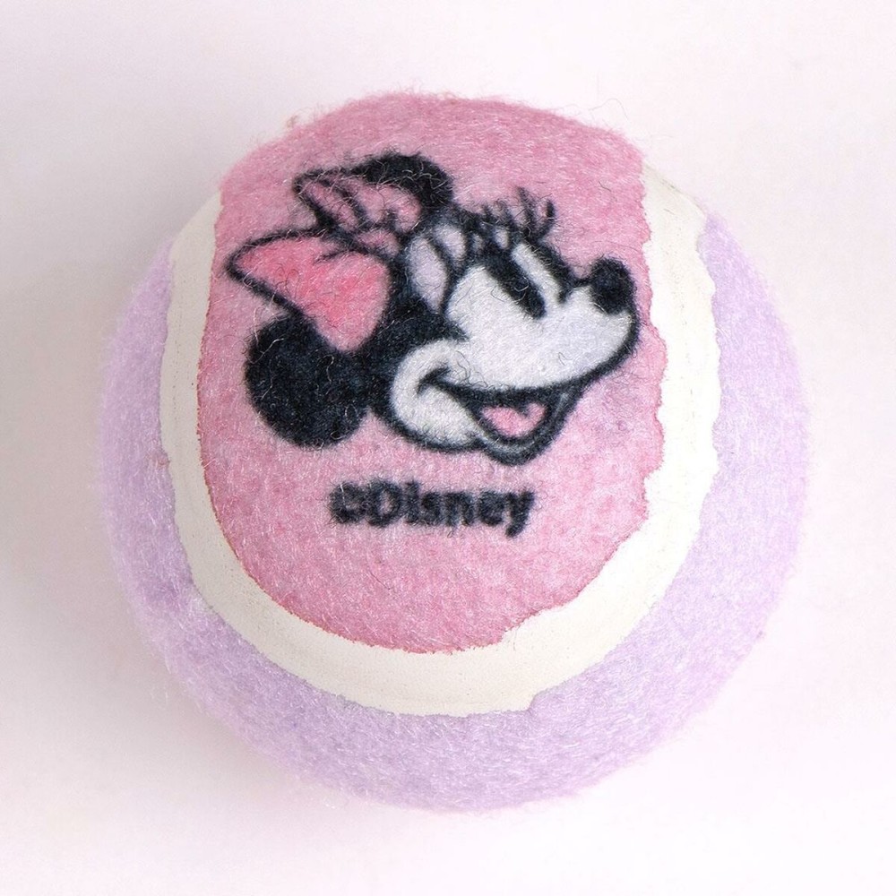 Geschenkset Minnie Mouse Rosa 21,0 x 21,0 x 8,8 cm Hund