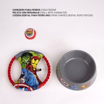 Coffret cadeau Marvel Multicouleur 21,0 x 21,0 x 8,8 cm Chien