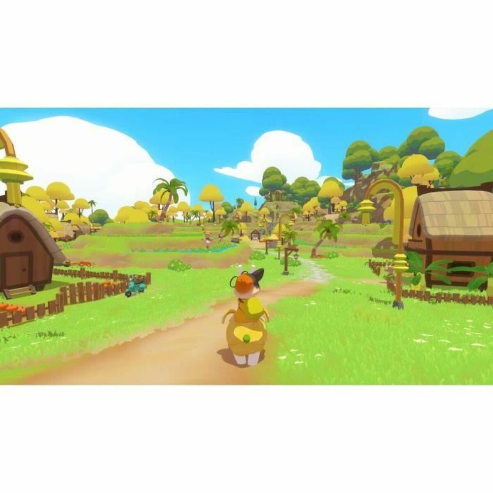 Jeu vidéo pour Switch Microids Petit Island
