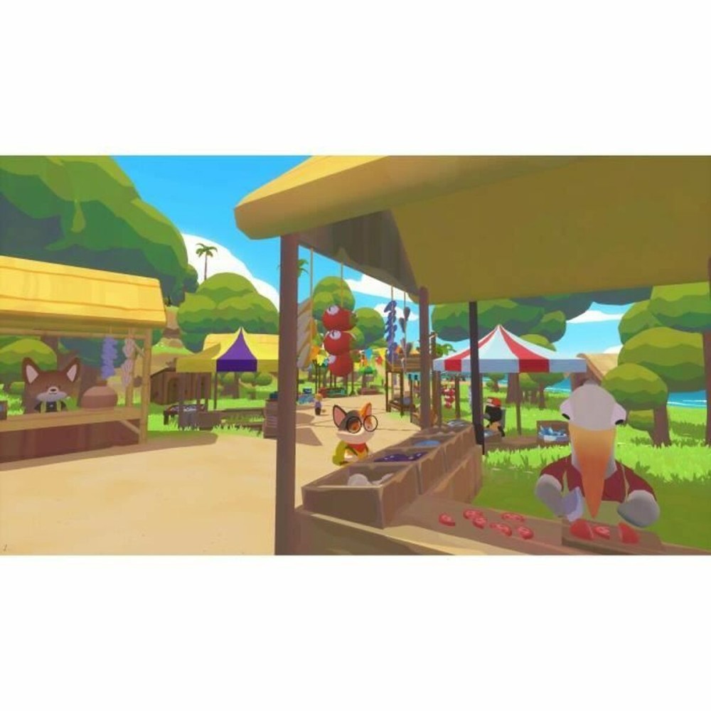 Video game for Switch Microids Petit Island